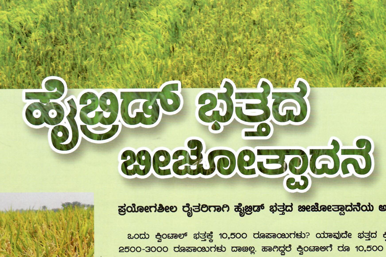 ಹೈಬಿಡ್ ಭತ್ತ - Hybrid Paddy